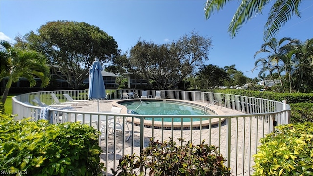 view of pool with a patio