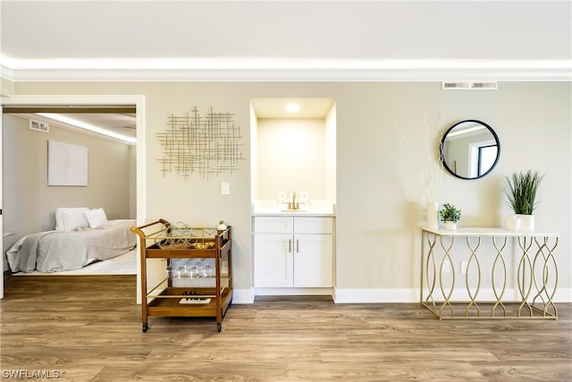 living area with light hardwood / wood-style floors, ornamental molding, and sink