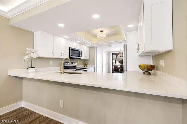 kitchen featuring dark hardwood / wood-style floors, stainless steel appliances, white cabinets, and a tray ceiling