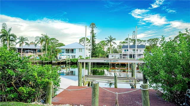 dock area with a water view