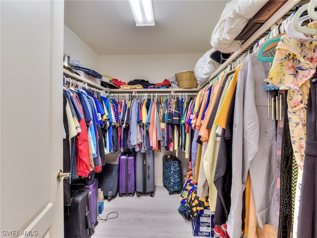 walk in closet featuring light wood-type flooring