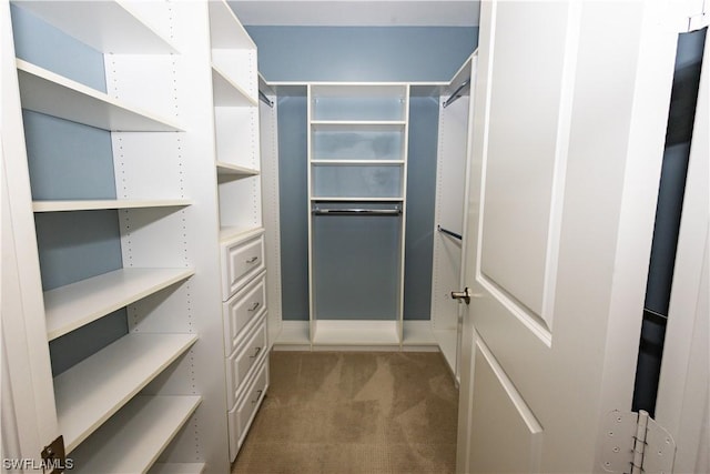 walk in closet with carpet flooring