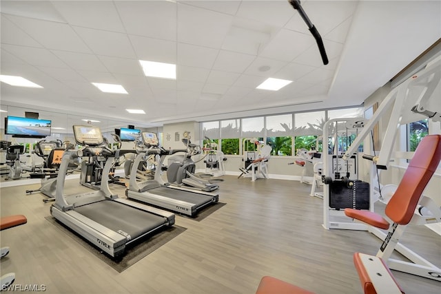 workout area with a paneled ceiling and light hardwood / wood-style floors