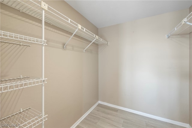 walk in closet with light wood-type flooring