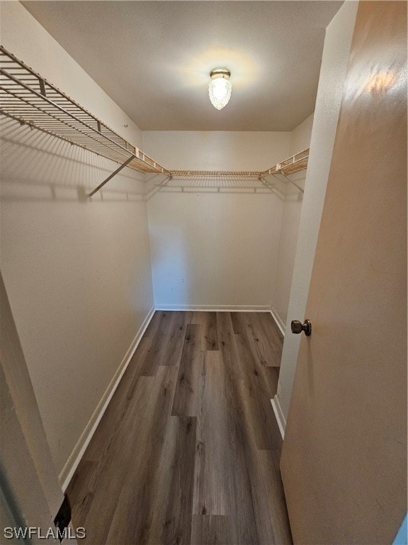 walk in closet featuring dark hardwood / wood-style floors