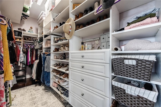 view of spacious closet