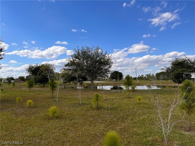 view of yard featuring a water view