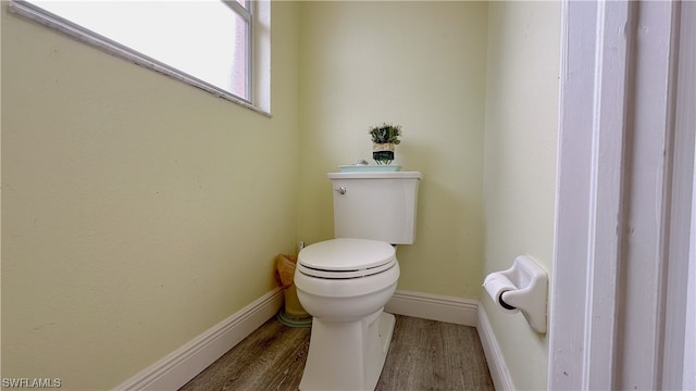 bathroom featuring wood-type flooring and toilet