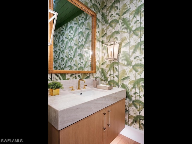 bathroom featuring vanity with extensive cabinet space and hardwood / wood-style floors