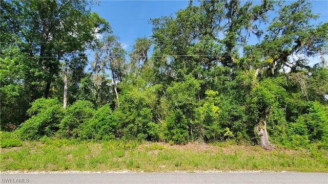 8001 Shasta St, Webster FL, 33597 land for sale