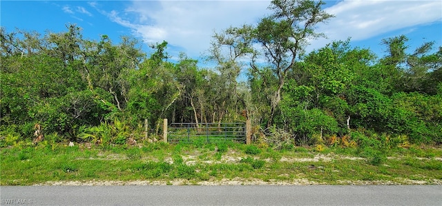 8115 Shasta St, Webster FL, 33597 land for sale