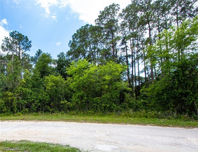 34160 Haas Dr, Webster FL, 33597 land for sale