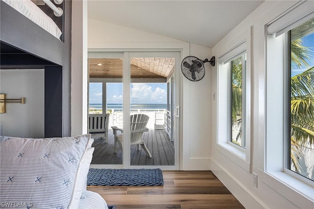 interior space featuring vaulted ceiling and dark hardwood / wood-style floors