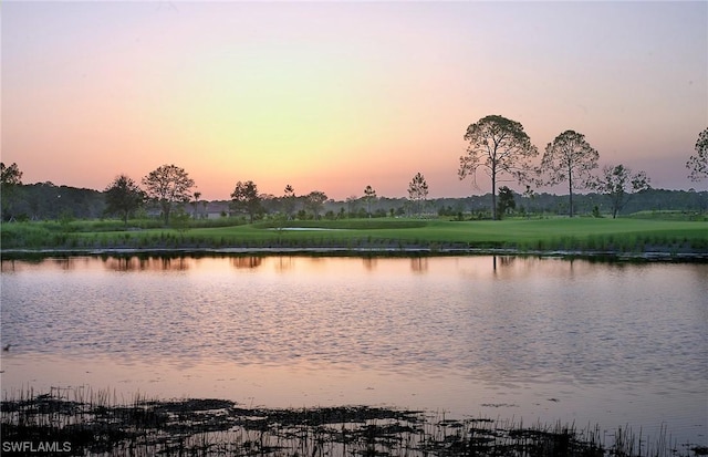 view of water feature