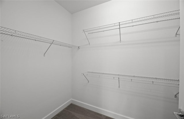 spacious closet featuring dark colored carpet