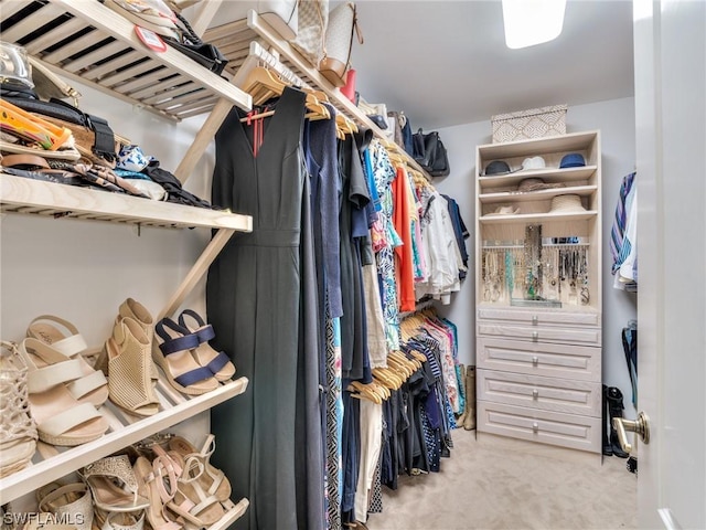 spacious closet with carpet