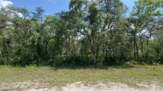 35017 Primrose Ln, Webster FL, 33597 land for sale