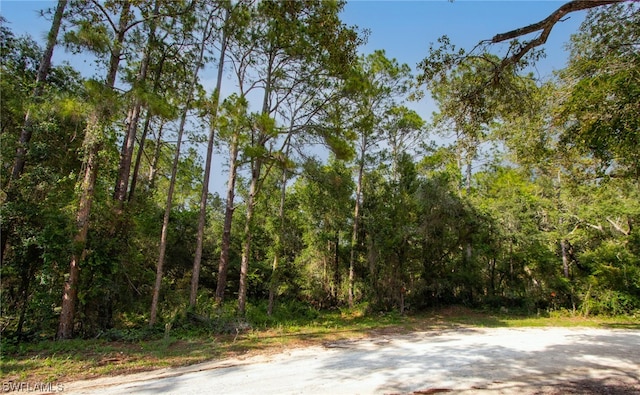 7176 Norway St, Webster FL, 33597 land for sale