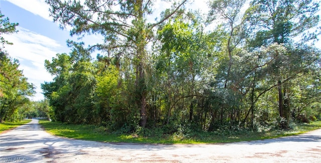 8009 Packingham St, Webster FL, 33597 land for sale