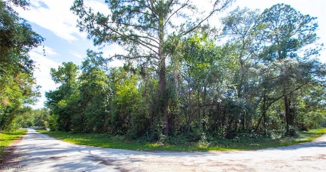 Listing photo 2 for 8009 Packingham St, Webster FL 33597