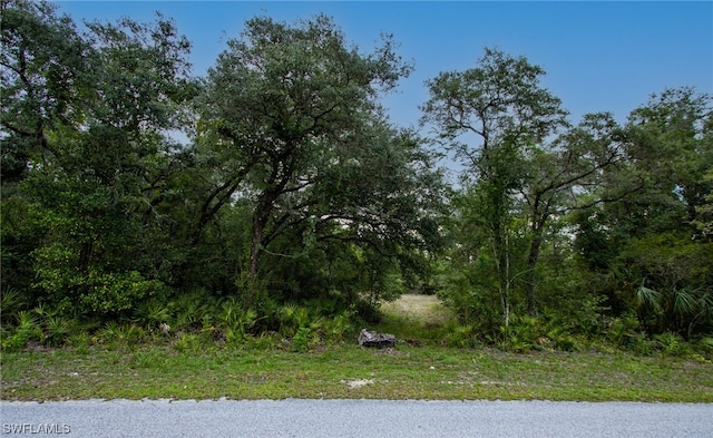 34122 August Ave, Webster FL, 33597 land for sale