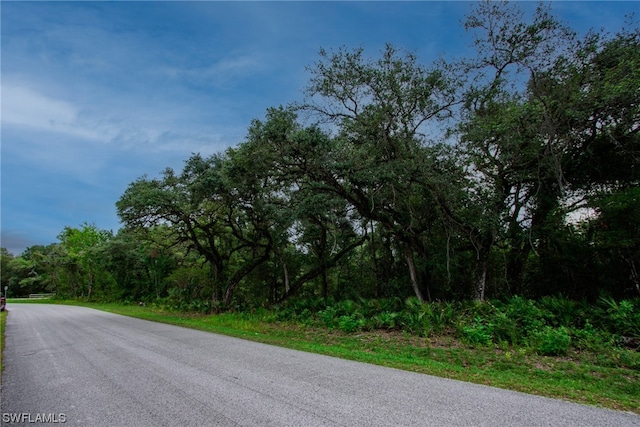 Listing photo 3 for 34122 August Ave, Webster FL 33597