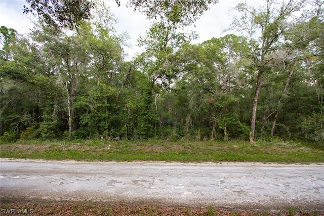 7406 SE Ave, Webster FL, 33597 land for sale