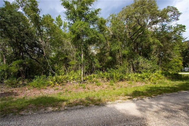 7478 N Canal St, Webster FL, 33597 land for sale