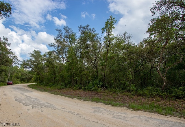 34287 Berryhill Dr, Webster FL, 33597 land for sale