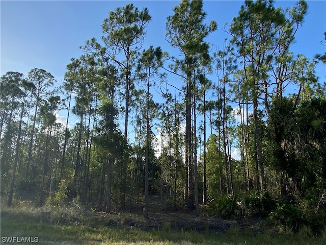 Listing photo 2 for 27166 Dubonet Dr, Punta Gorda FL 33955