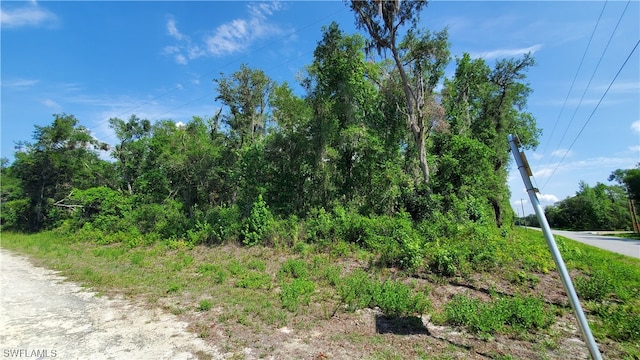 7475 Shasta St, Webster FL, 33597 land for sale