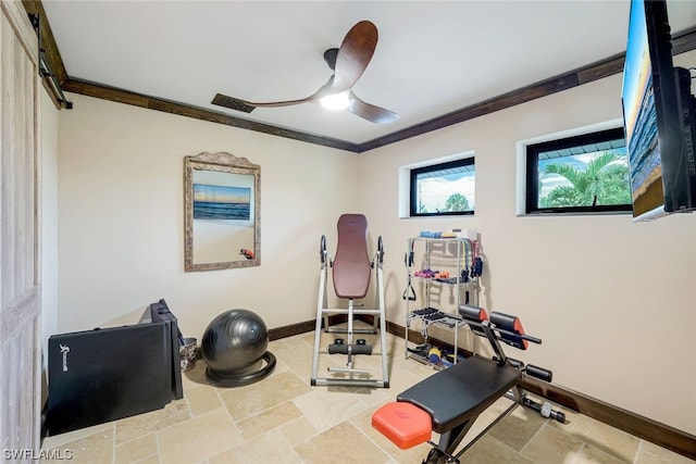 workout area with crown molding and ceiling fan