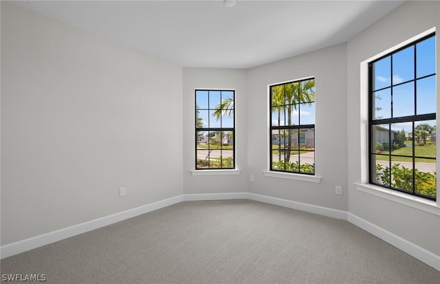 spare room featuring a healthy amount of sunlight and carpet floors