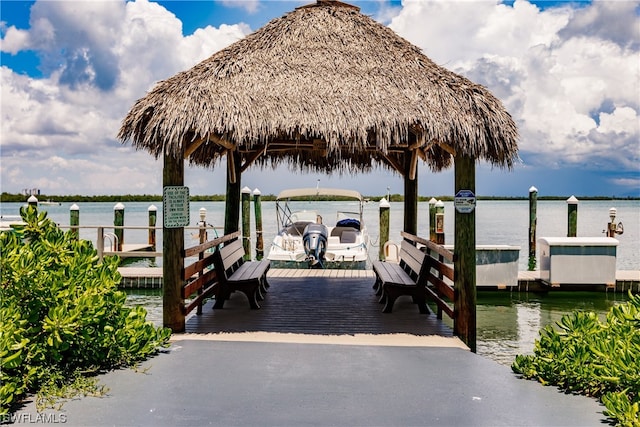 dock area with a water view