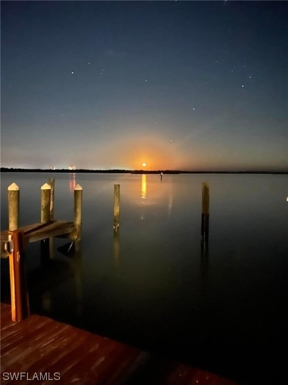 water view featuring a boat dock