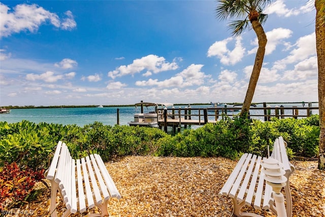 dock area with a water view