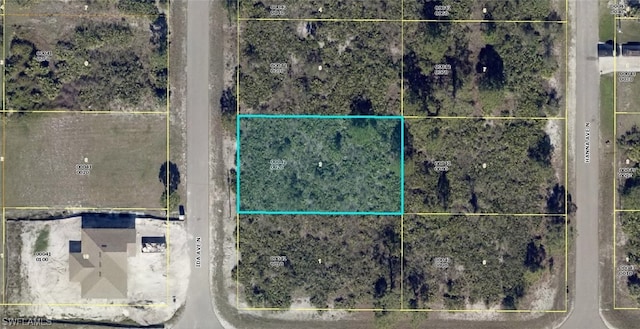 4602 Ida Ave N, Lehigh Acres FL, 33971 land for sale