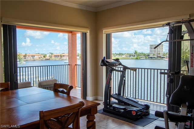 workout area featuring ornamental molding, a healthy amount of sunlight, and a water view