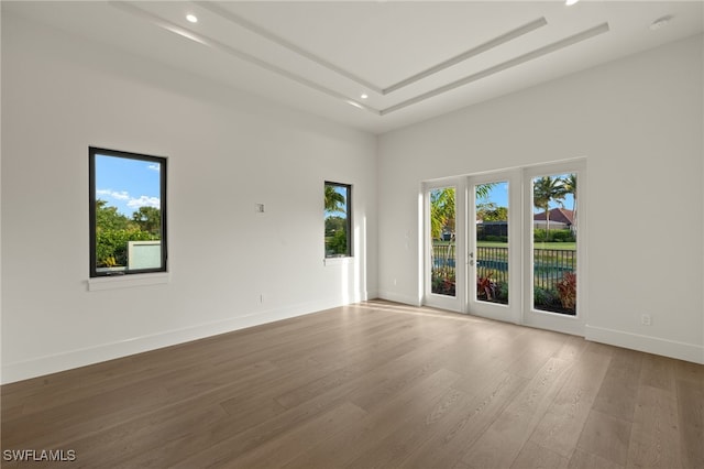 spare room with hardwood / wood-style floors, a tray ceiling, a wealth of natural light, and a high ceiling