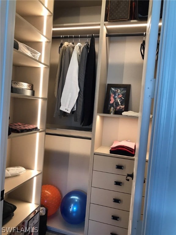 view of closet