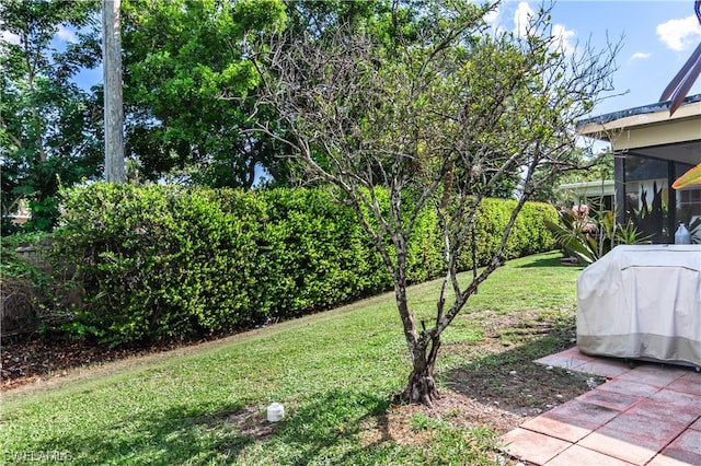 view of yard featuring a sunroom