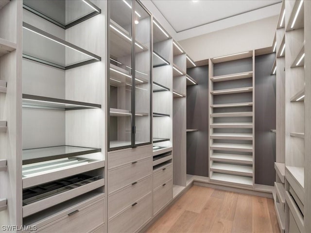 walk in closet featuring light wood-type flooring