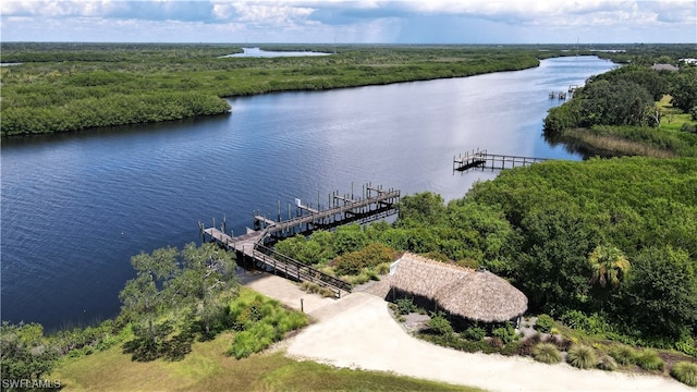 bird's eye view featuring a water view