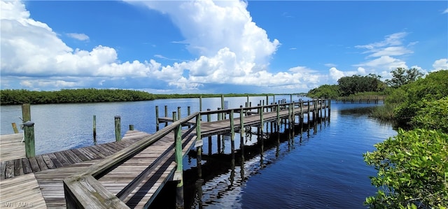 dock area with a water view