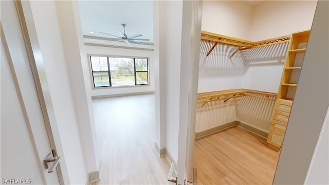 walk in closet with light hardwood / wood-style floors and ceiling fan