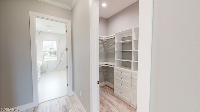 spacious closet featuring light hardwood / wood-style floors