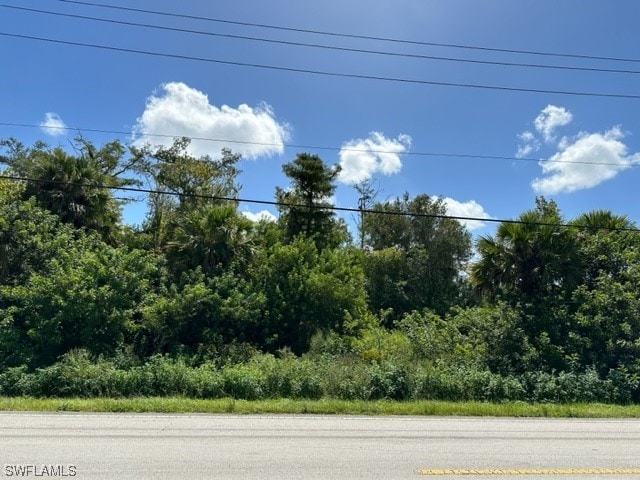 2524 Everglades Blvd S, Naples FL, 34117 land for sale