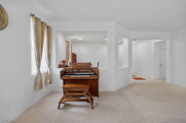 miscellaneous room with light colored carpet