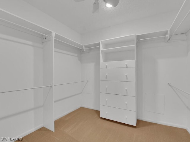 walk in closet with light colored carpet and ceiling fan