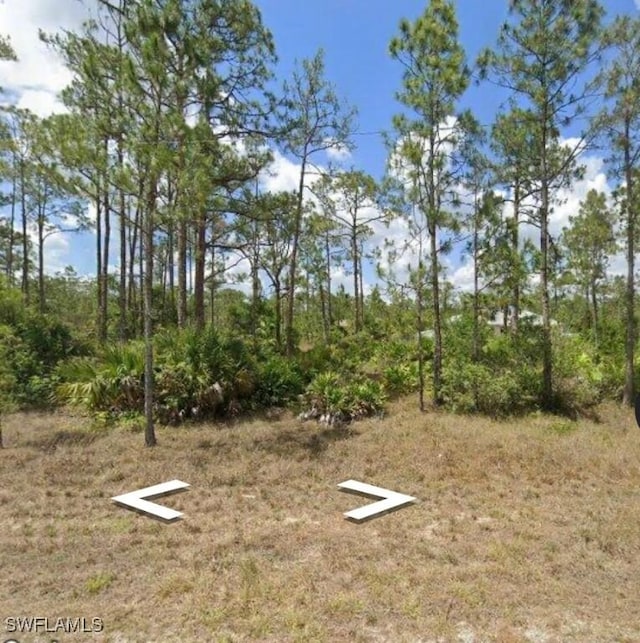 Listing photo 3 for 334 Sapphire St, Lehigh Acres FL 33972